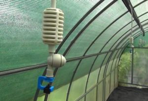 Туманообразующая установка своими руками