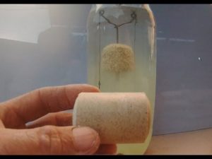 Изготовление планктона для ловли толстолобика своими руками