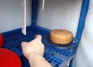 Камера для созревания сыра своими руками