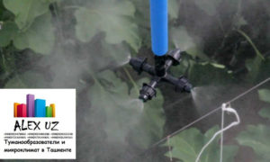 Туманообразующая установка своими руками