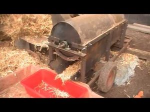 Как сделать молотилку для зерна своими руками