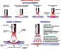 Как правильно варить дуговой сваркой начинающим