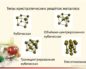 Типы кристаллических решёток металлов
