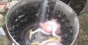 Как сделать ощипыватель птицы своими руками Как сделать ощипыватель птицы своими руками