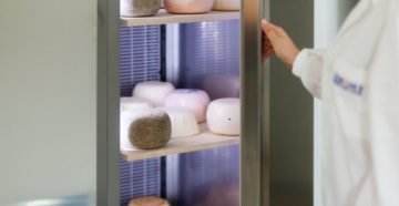 Шкаф для созревания сыра своими руками