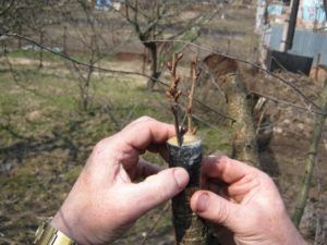 Калибровка дерева своими руками