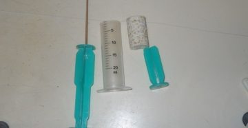 Технопланктон своими руками в микроволновке