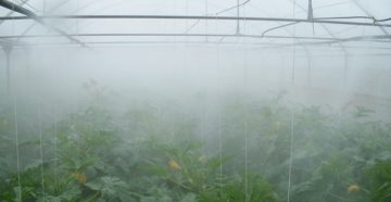 Туманообразующая установка своими руками Туманообразующая установка своими руками