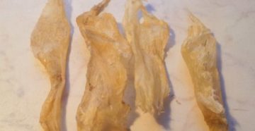 Рыбный клей своими руками