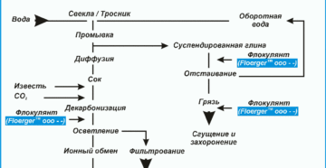 Производство сахара из сахарной свеклы технология