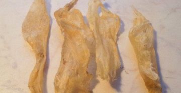 Рыбий клей своими руками Рыбий клей своими руками