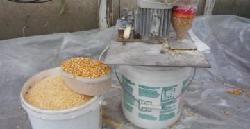 Круподерка своими руками