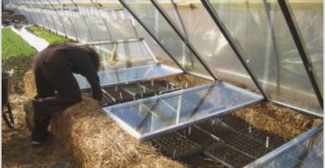 Как сделать теплую теплицу своими руками Как сделать теплую теплицу своими руками