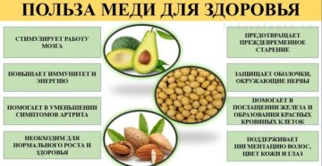 Медь для организма человека польза и вред Медь для организма человека польза и вред