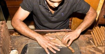 Производство табака в домашних условиях