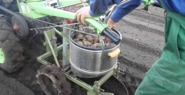 Как сделать сажалку к мотоблоку своими руками